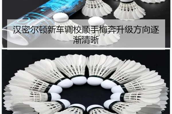 汉密尔顿新车调校顺手梅奔升级方向逐渐清晰 - DAFA.COMapp